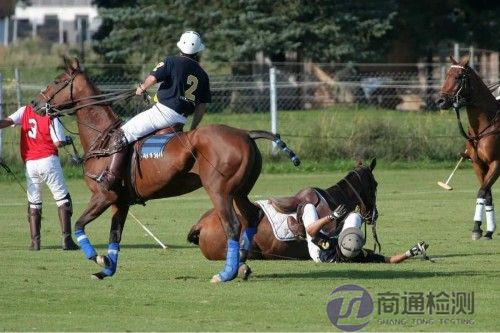 horse-and-rider-fall_副本.jpg